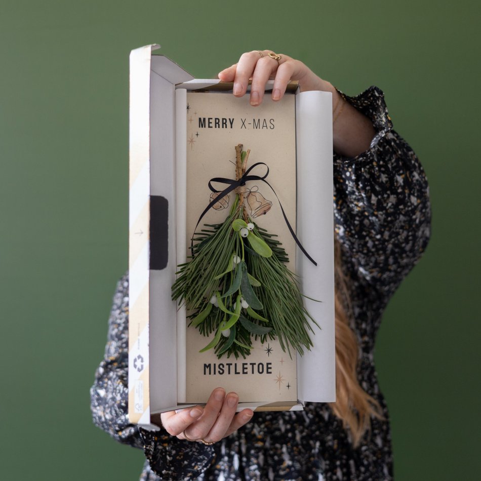 Mistletoe